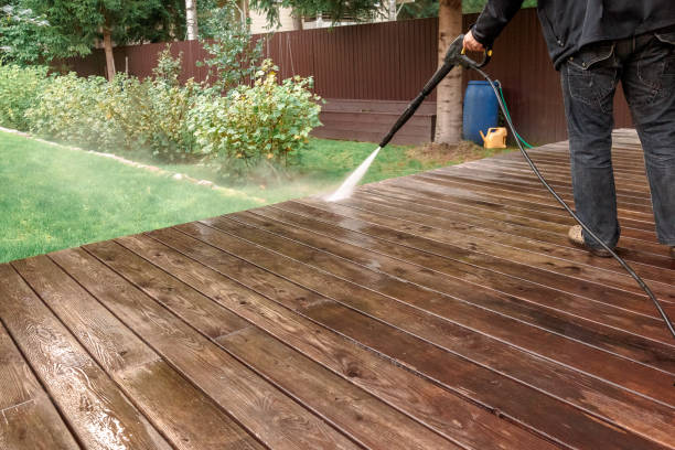 Animal Enclosure Cleaning in Leavittsburg, OH